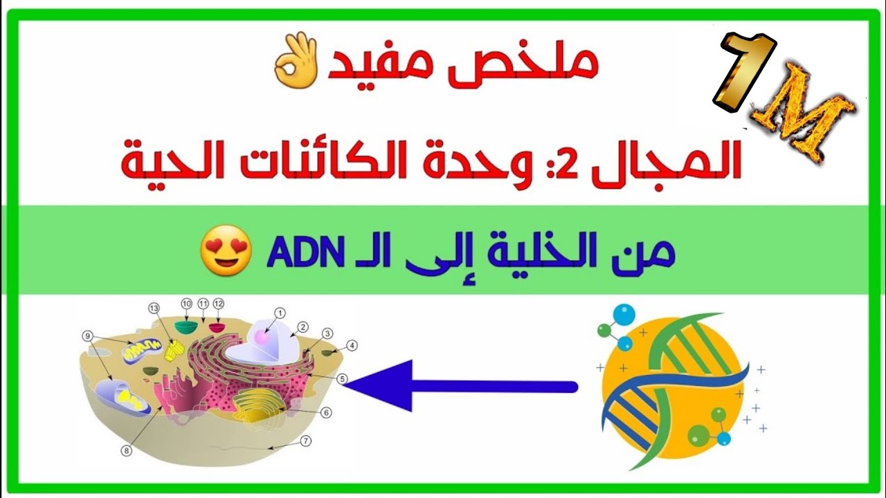 🔥ملخص شامل حول الخلية والـ ADN [سنة 2 علوم تجريبية-رياضيات]😍🔦كقاعدة جيدة للبكالوريا💪