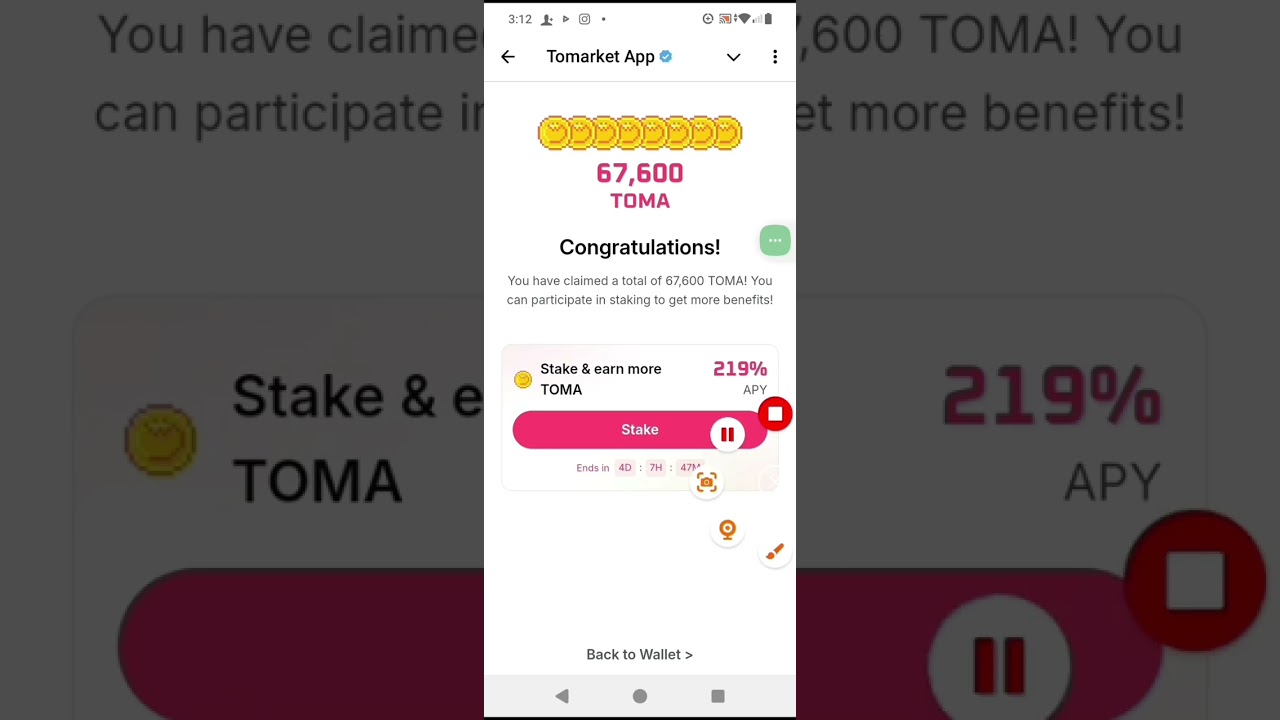 Check Your Tomarket Second Allocation Now