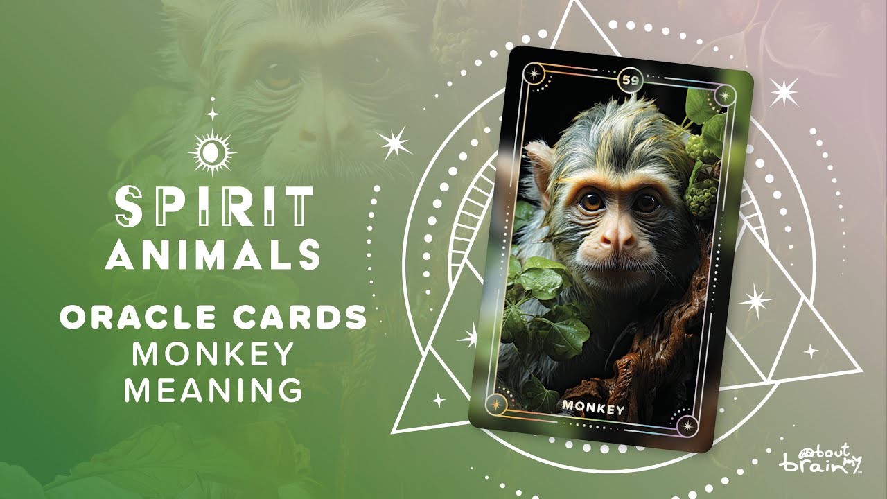 Monkey Spirit Animal | Symbolism & Meaning Explained