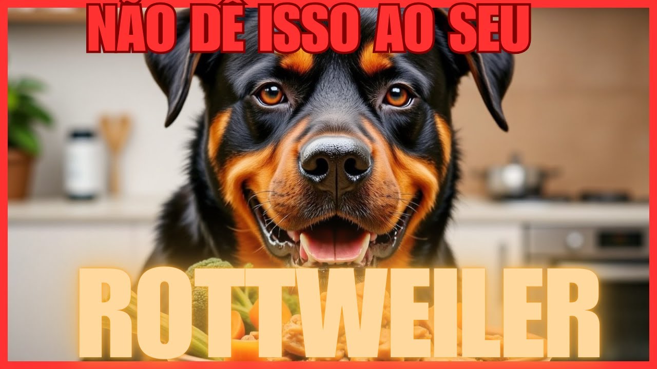 5 Alimentos Caseiros Que Deixam Seu Rottweiler Mais Forte e Saudável! 🦴