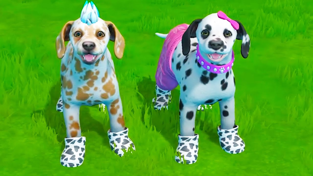 Family of Puppies Puppy Island
