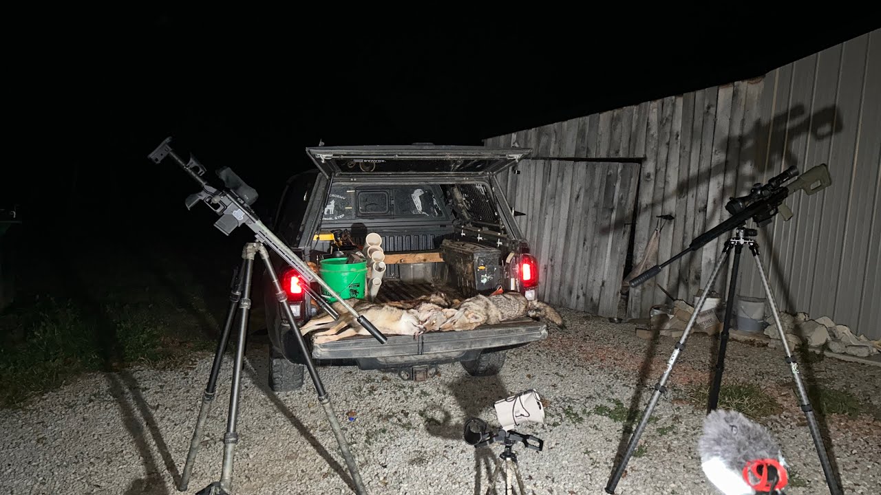 Windy Night | Thermal Coyote Hunt | Keeping the Streak Alive | Storm S6R | @RIX_Optics 