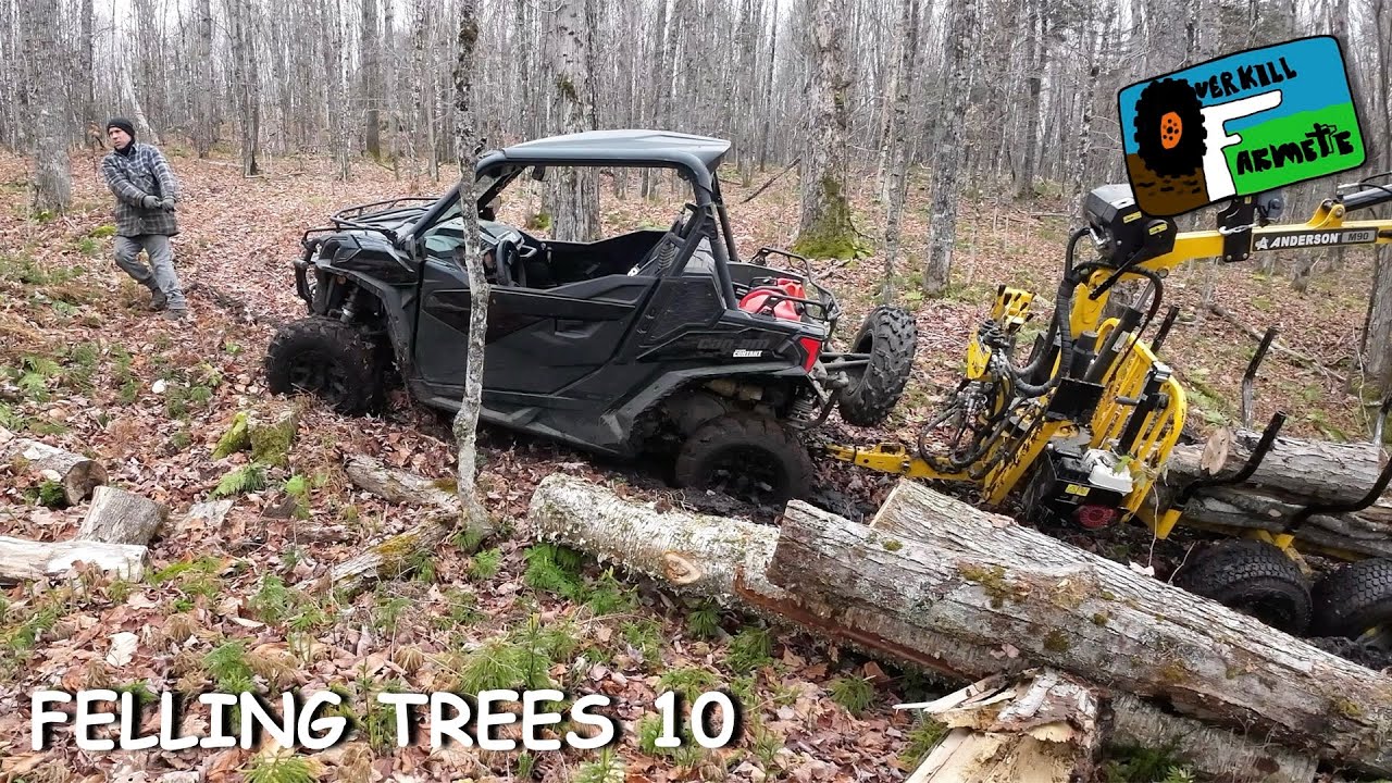 OF 67 FELLING TREES 10