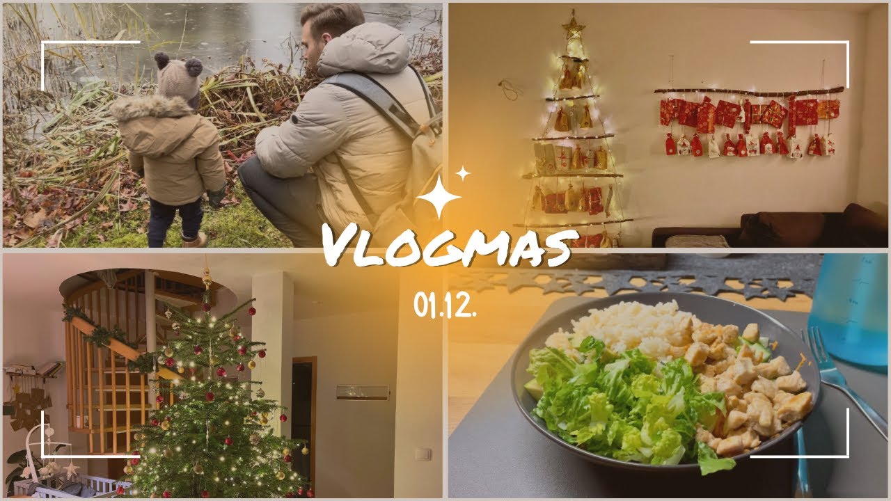 VLOGMAS - 1. Advent + Weihnachtsmarkt 🎄❄️ | LuMiLio
