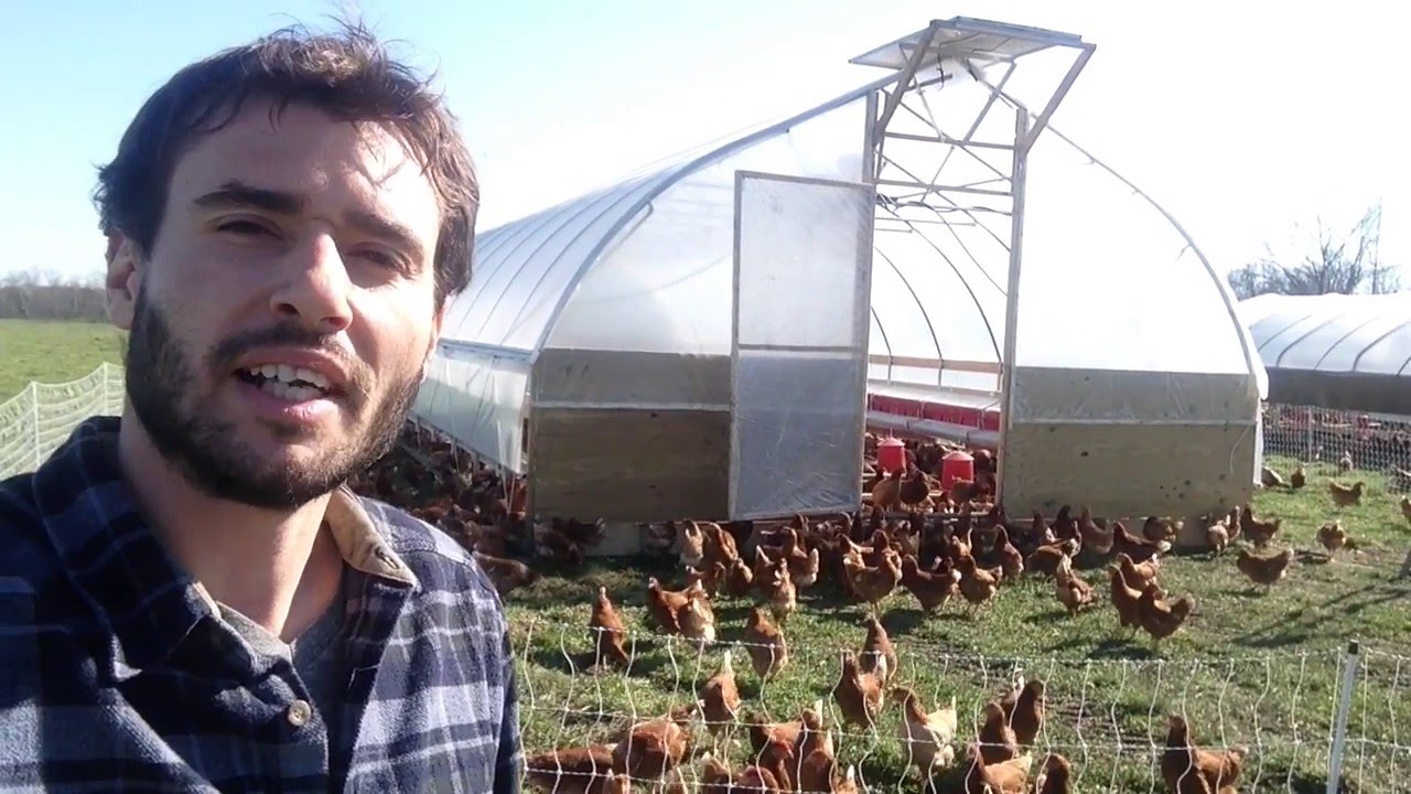 2,000 Hens Moved Out to Spring Pastures