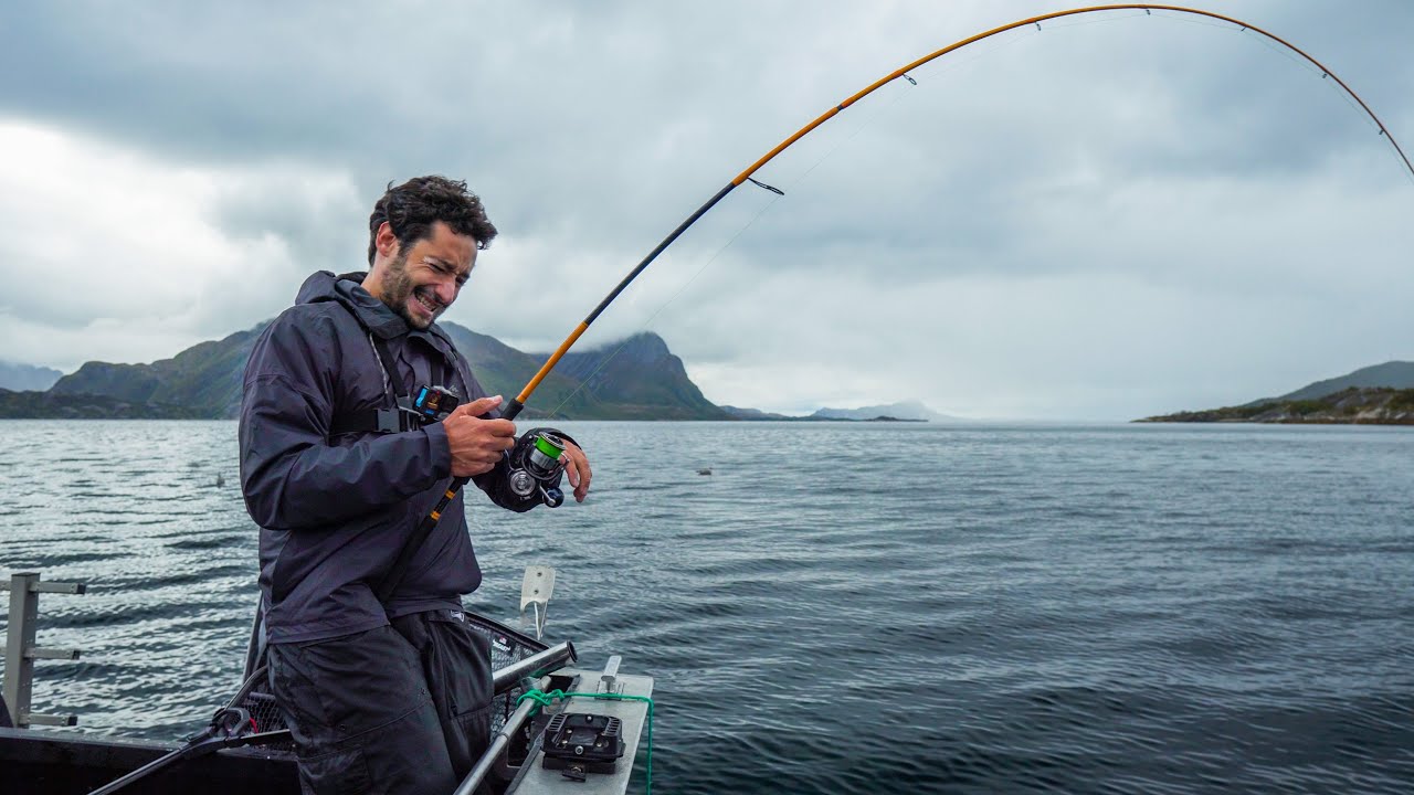 Huge fish in North of Norway