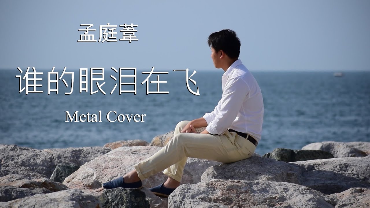 孟庭苇 - 谁的眼泪在飞 - Metal Cover by Dimitris Bompolas (Meng Ting Wei - Shei de yanlei zai fei)