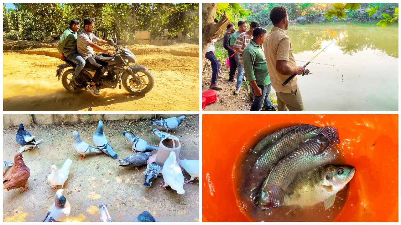 গহীন জঙ্গলে যাচ্ছে কবুতরের কাজ শেষে মাছ ধরতে 😁🐟🐠