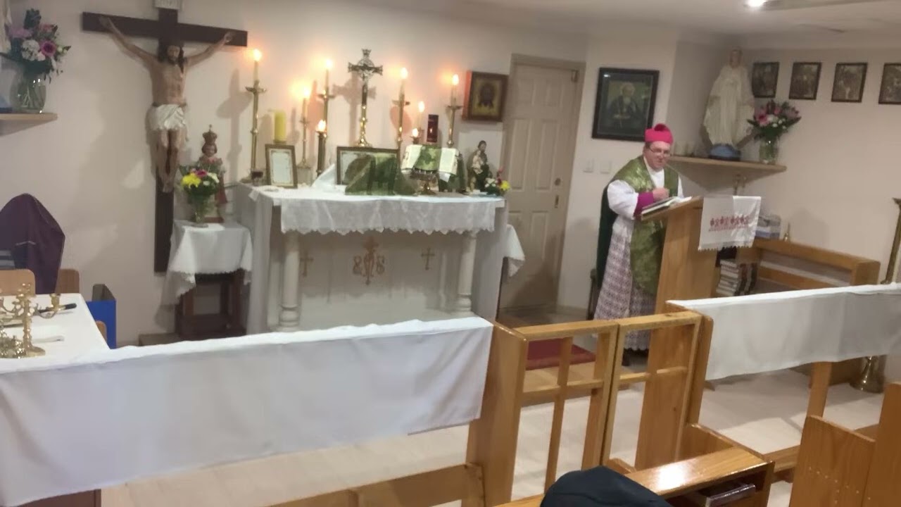 Tenth Sunday after Pentecost. What good fruits will the Lord find in our soul when. 