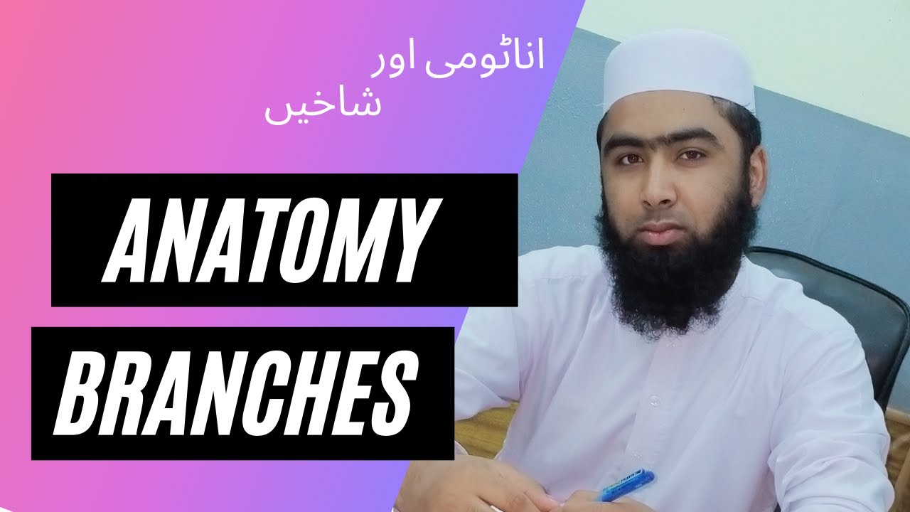 Introduction To Human Anatomy | Definition and Branches Of Anatomy in Urdu / Hindi || English