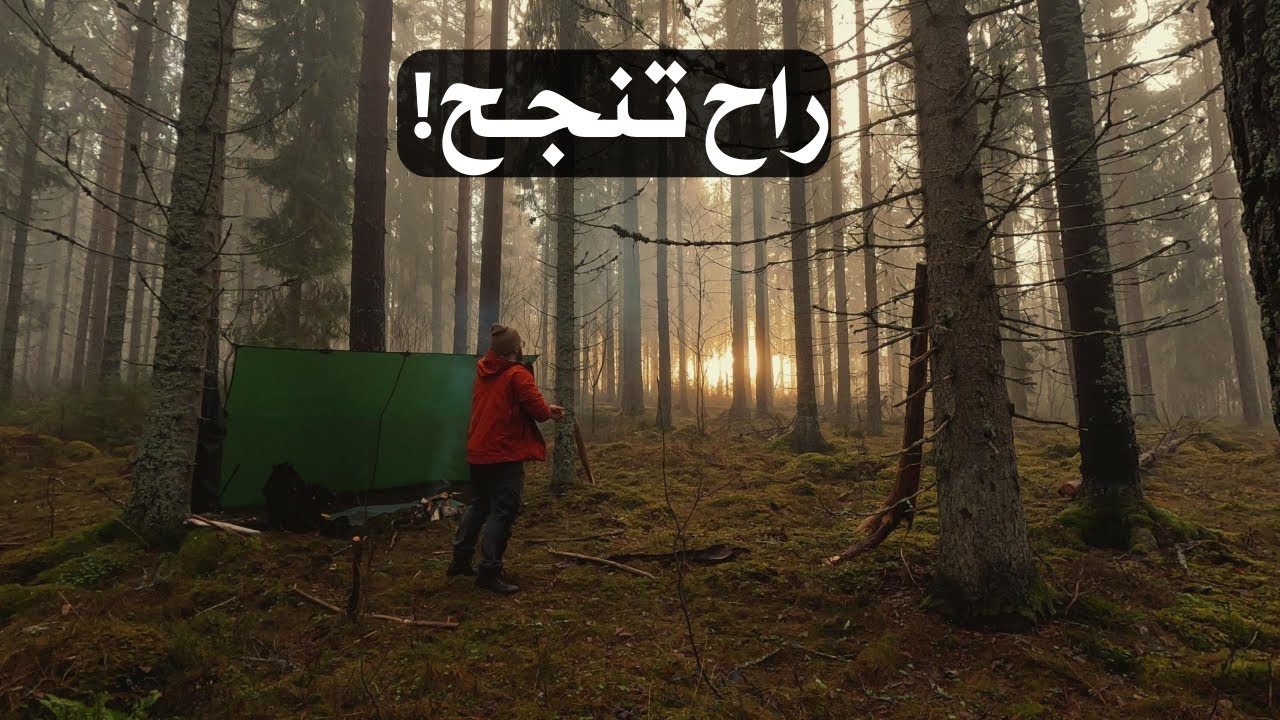 تخييم في الضباب | قصة نجاحي بعد فقدان وظيفتين