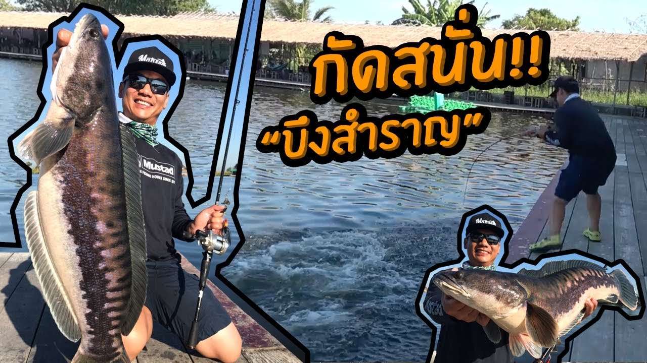 ล่าเหยื่อผิวน้ำโหดขนาดนี้ บึงสำราญ Topwater Maddness Bungsamran