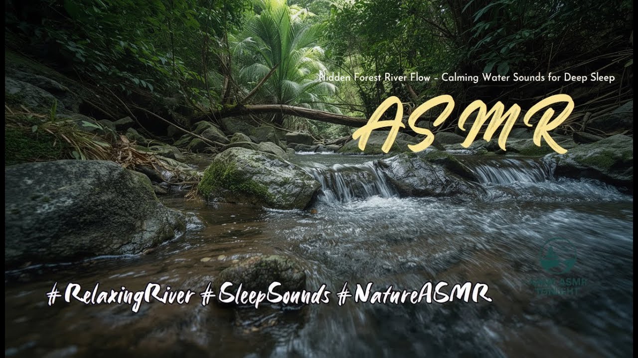(3 Hours) Hidden Forest River ASMR 🌿 Flowing Water Sounds for Deep Sleep, Relaxation & Stress Relief