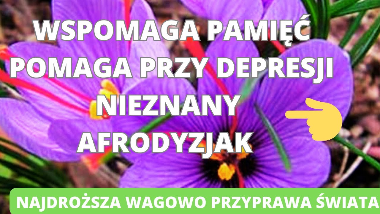 Шафран &mdash; поддерживает память, помогает при депрессии, снимает стресс, улучшает настроение и сон.
