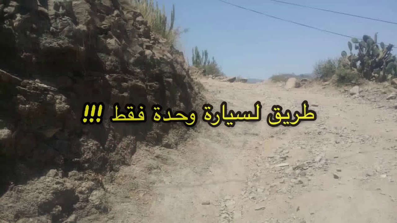 خط نيعان الدولي 🚗🚚