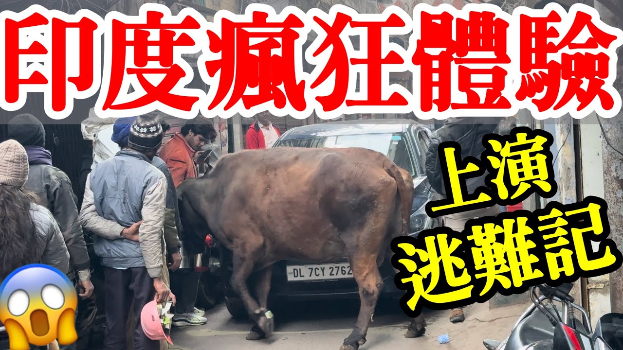 炸裂的印度德里旅行體驗，直接上演逃難記😱 真實拍攝各種魔幻見聞【印度旅遊】2026年印度德里自由行攻略・印度路邊攤・月光集市・印度美食・德里紅燈區・空氣污染・空污指數PM2.5 India Delhi