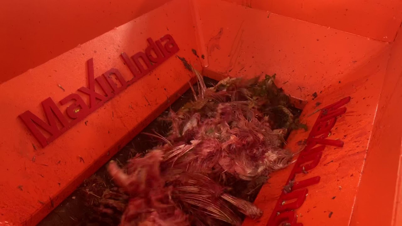 Meat and Bone Shredder, #Chickenwasteshredder, Cattle Bone Shredder, Chicken waste Crusher, Cutting,