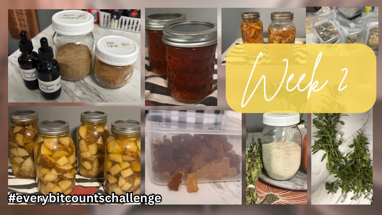 Every Bit Counts Challenge | Week 2 Preserving Food Every Day in August!