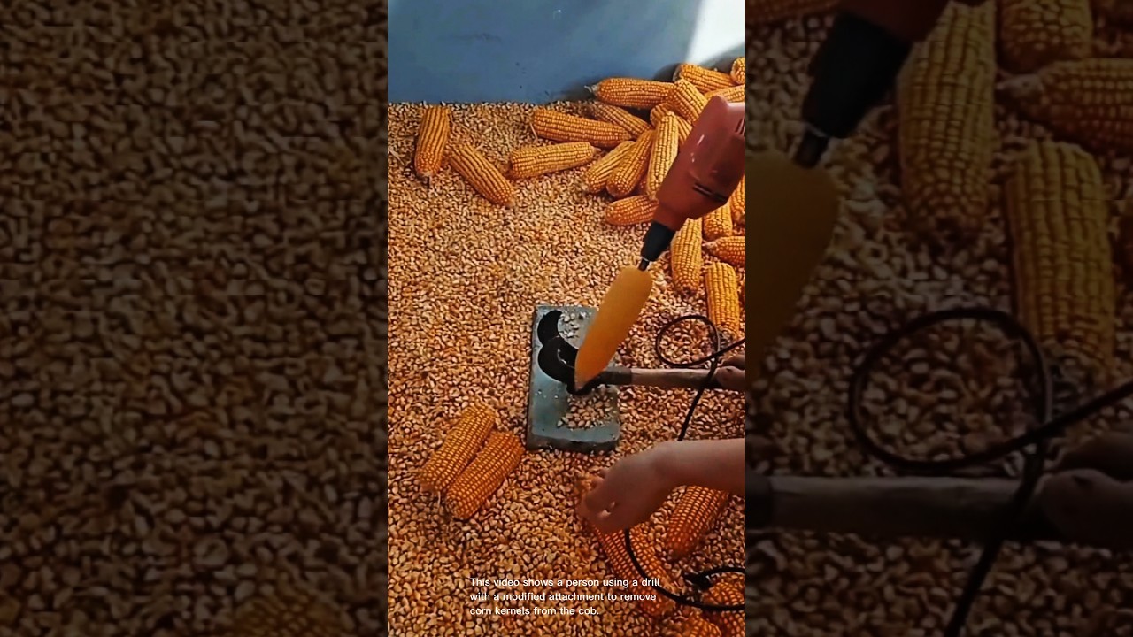 Easy way to remove corn kernels