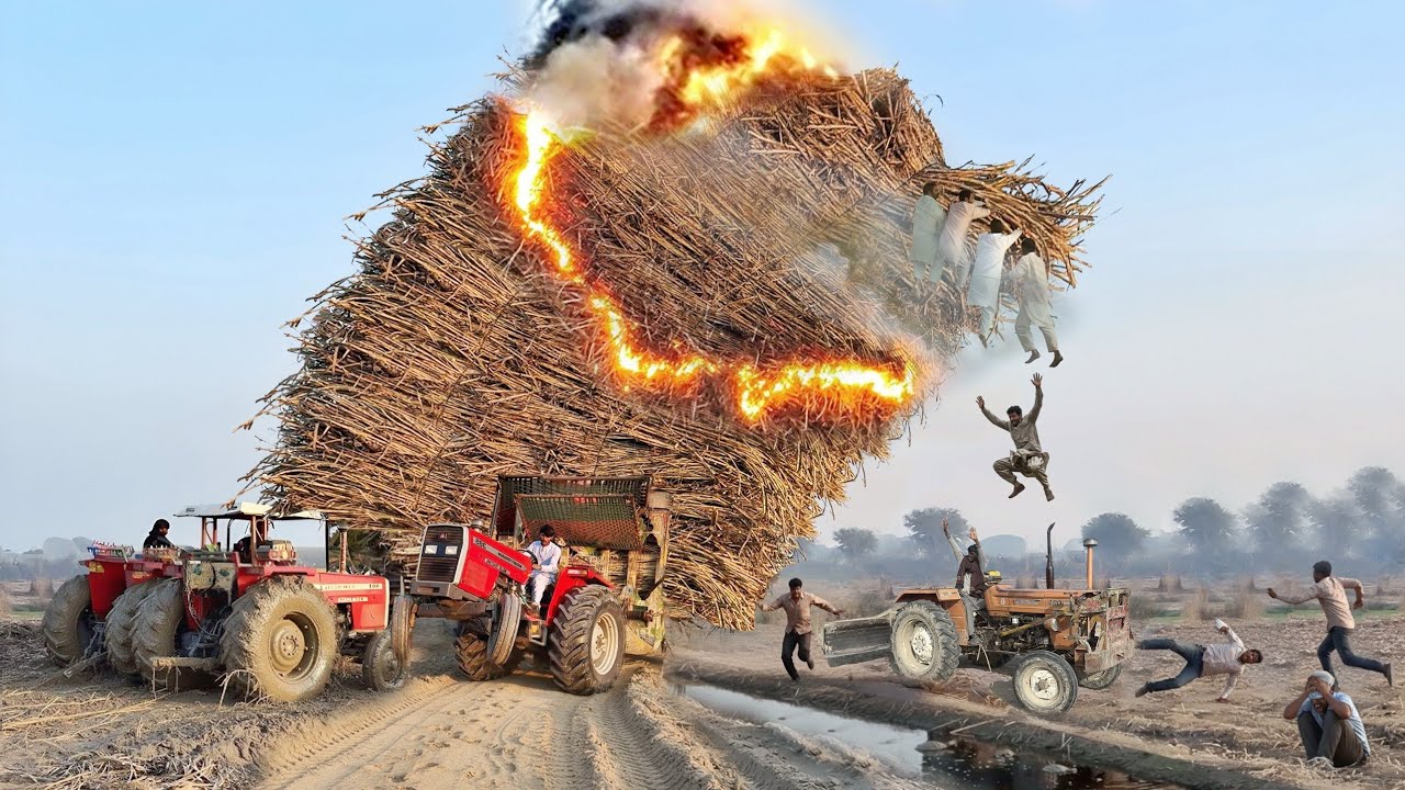 mf 385 tractor live fails sugarcane trolley