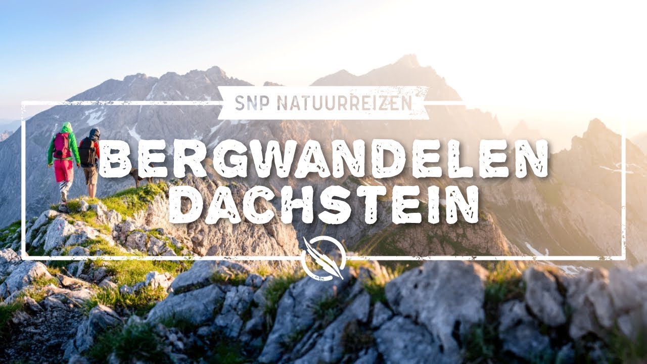 Oostenrijk l Bergwandelen in de Dachstein l SNP Natuurreizen