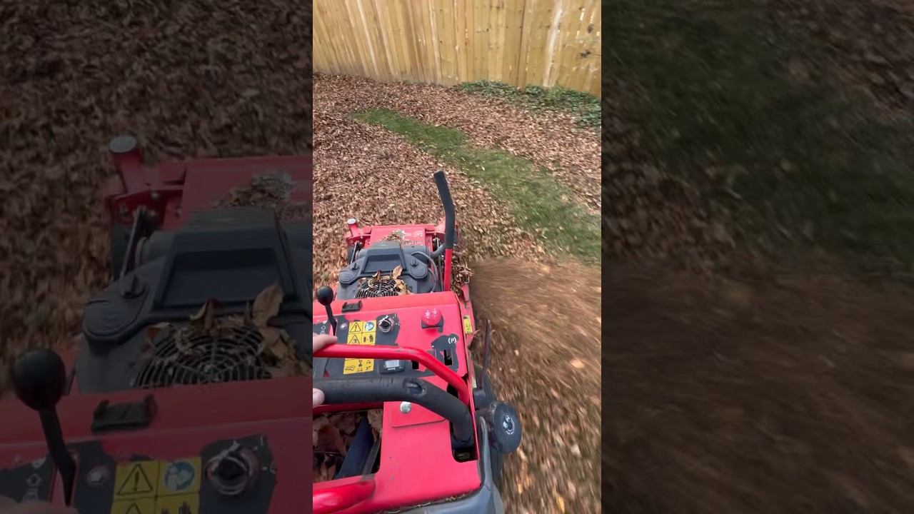 Gravely pro stance 36&rdquo; mulching leaves #foryou #shortsvideo #satisfying #subscribe #shortsfeed #fyp