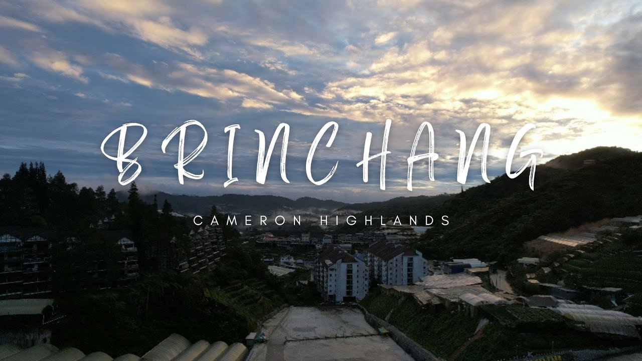 [4K] Brinchang l Cameron Highlands l Cinematic Morning View