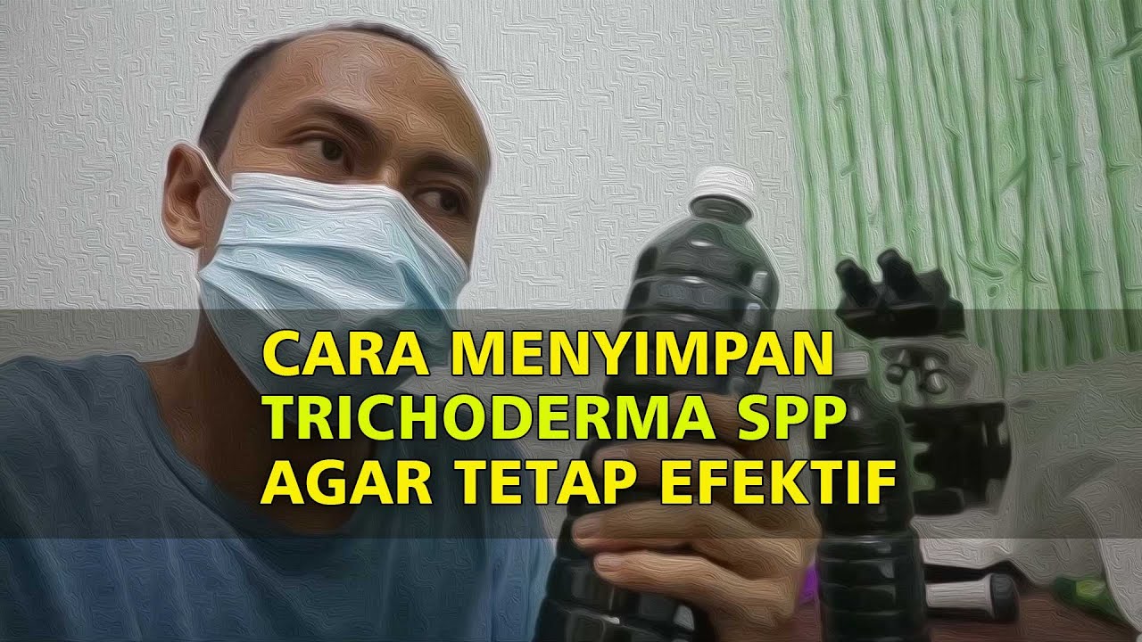 Cara Menyimpan Jamur Trichoderma Agar Tetap Efektif