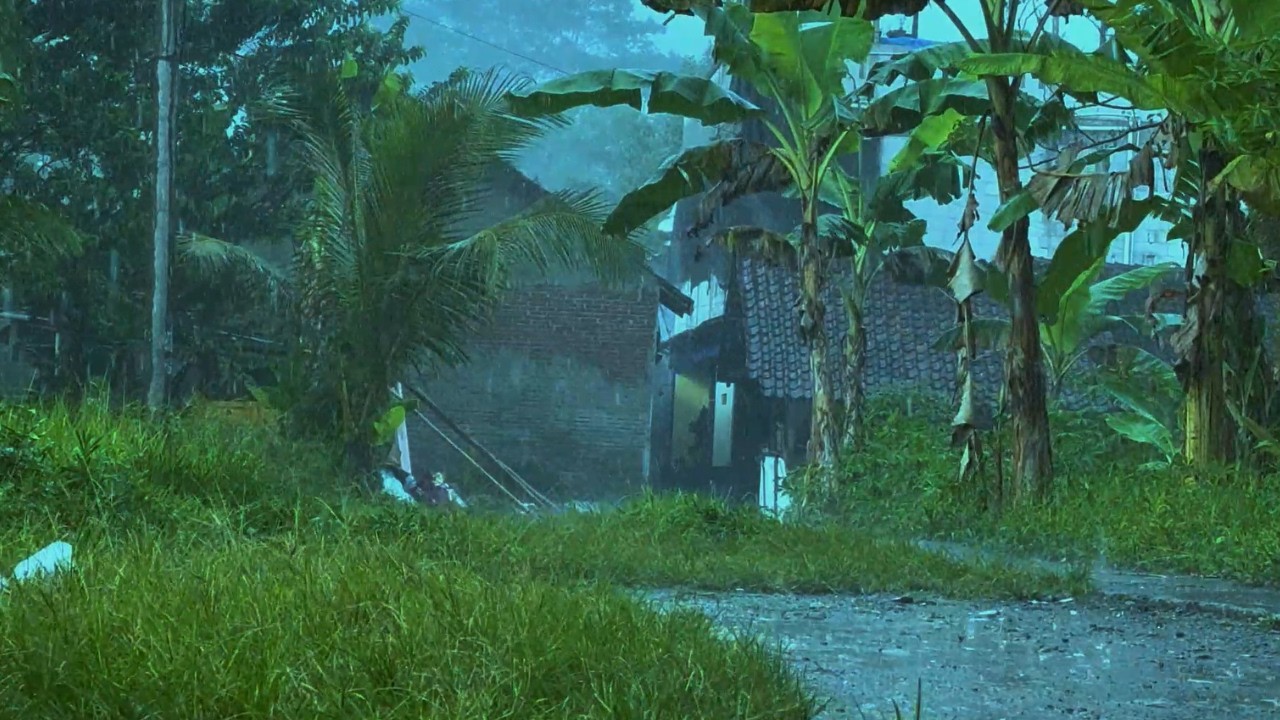 The Only Sound You Need to Fall Asleep Instantly 🌧️ Ultimate Rain Sound Experience