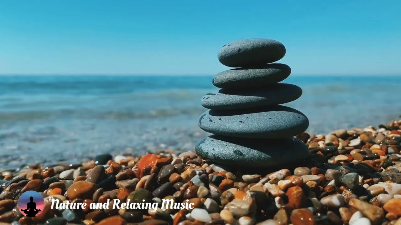 Evasion Nature : Musique Douce et Sons de la Nature pour une Relaxation en Pleine Nature