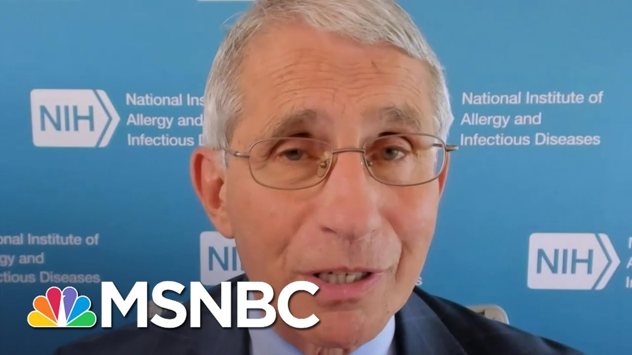 Fauci Disputes Viral Video: ‘Hydroxychloroquine Is Not Effective’ | Andrea Mitchell | MSNBC