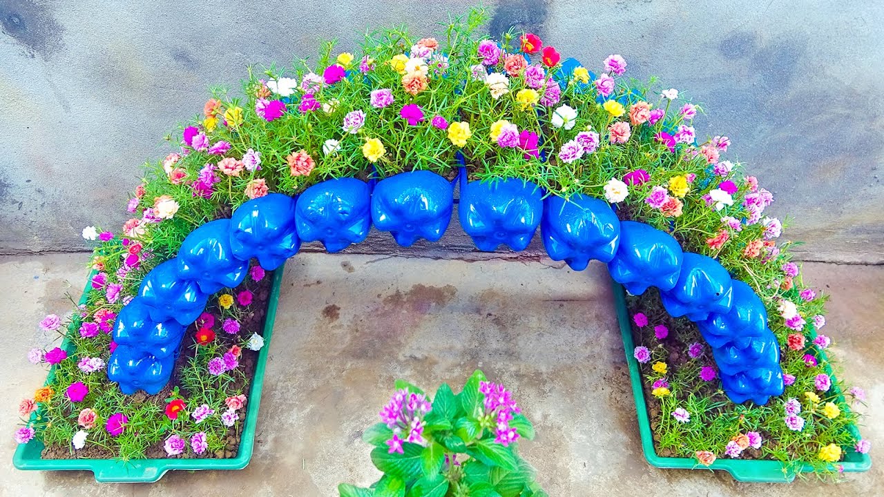 DIY a Beautiful Rainbow Arch Tower to Plant Moss Rose for Vacant Land | Garden Ideas
