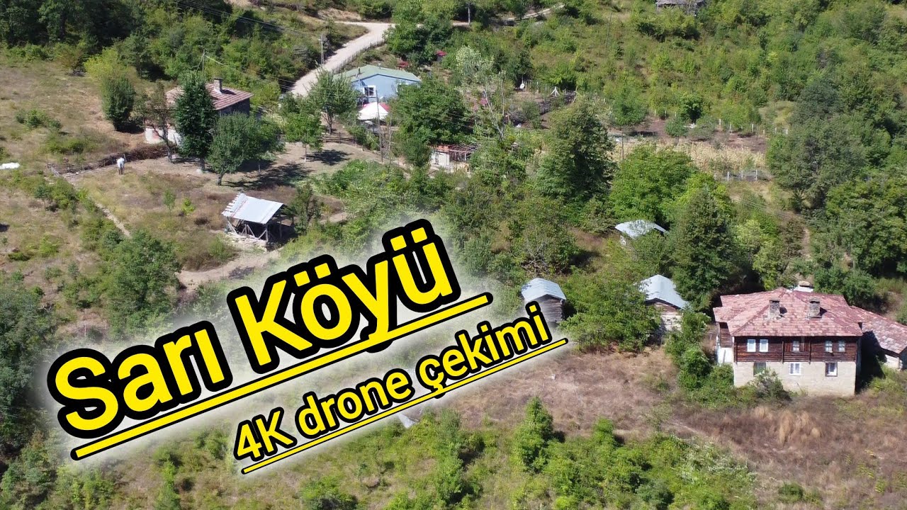 Sarı Köyü Mevkii / Gürsökü Köyü / sinop - gerze