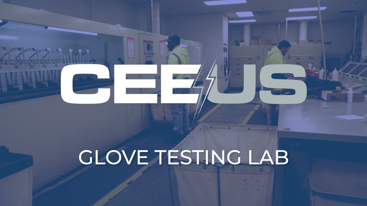 CEEUS | Glove Testing Steps | WEB