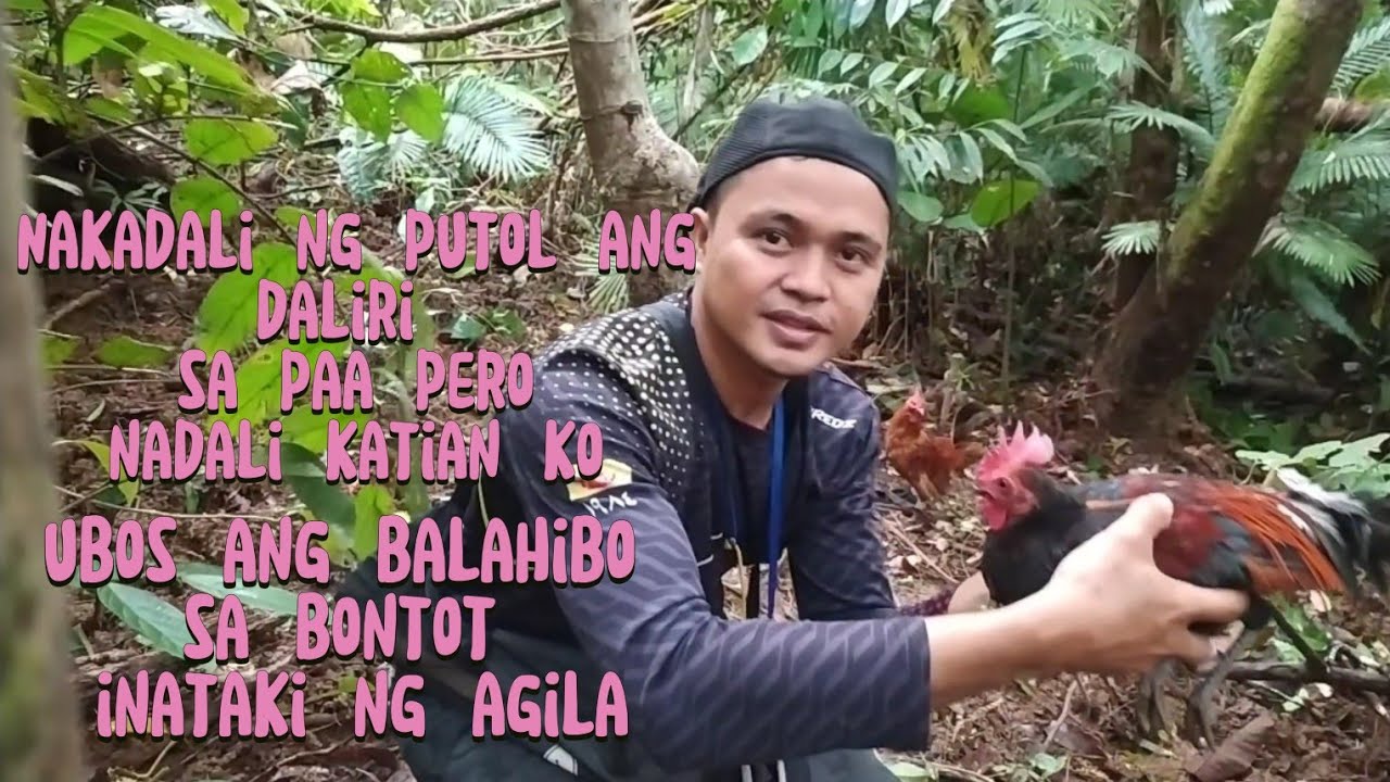 #manoklabuyohunt  pang 8 na huli nakadali pero nadali pa ng agila ang katian ko