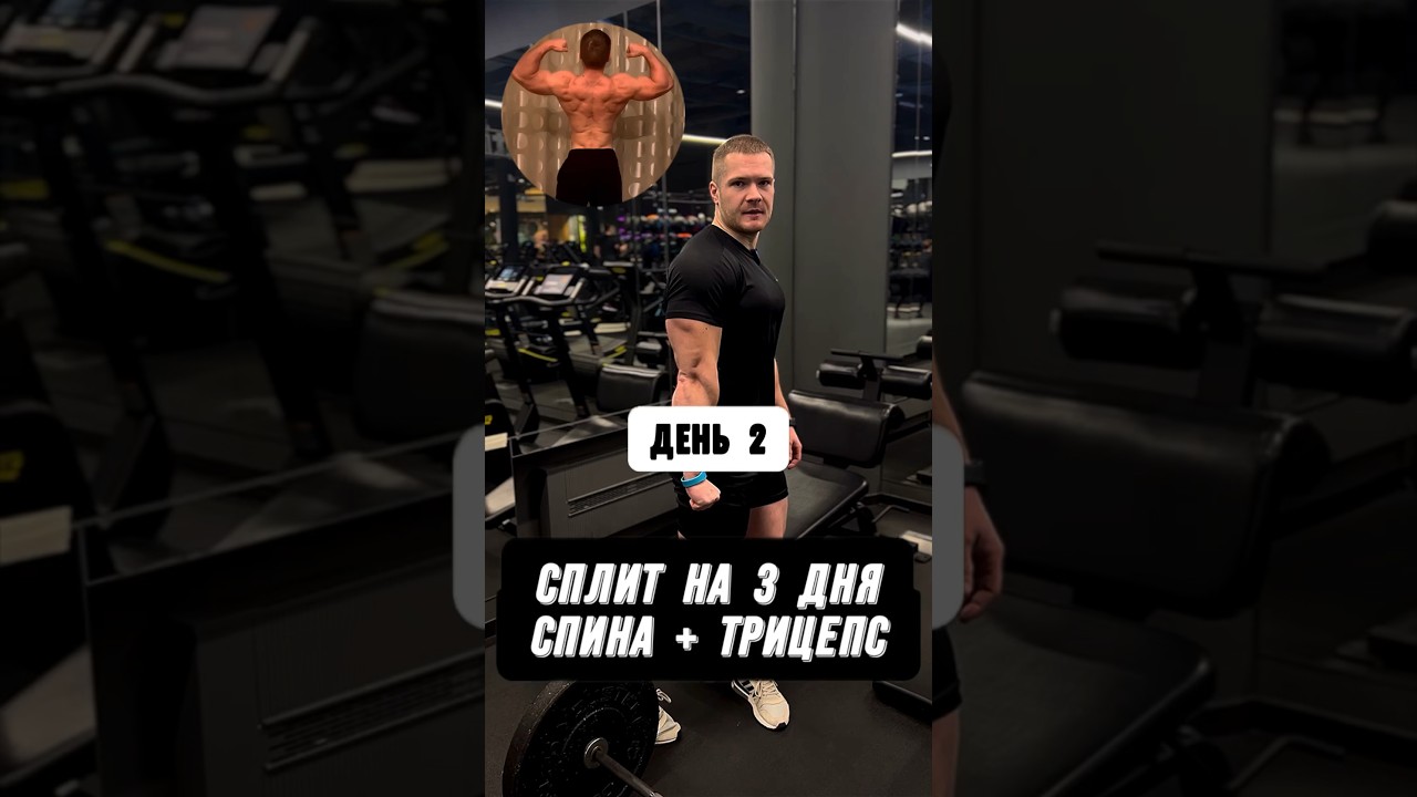 🔥СПЛИТ НА 3 ДНЯ В НЕДЕЛЮ! СПИНА + ТРИЦЕПС! День 2
