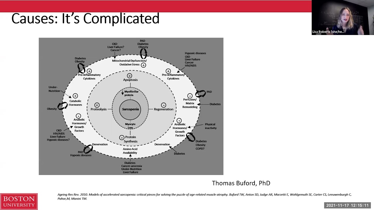 Functional decline and aging: what can we do?