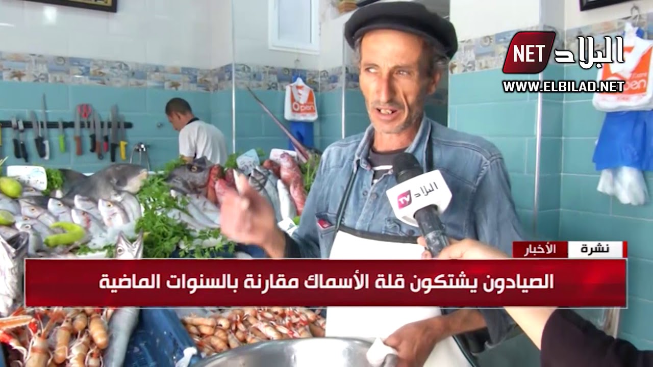 العاصمة: ميناء جميلة بعين البنيان يستهوي عشاق الأسماك