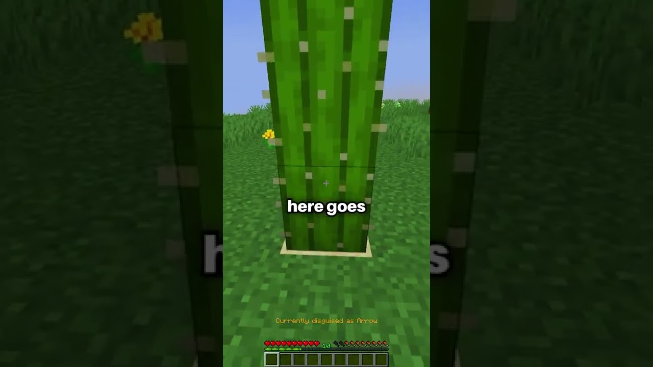What happens to items when you drop them in cactus