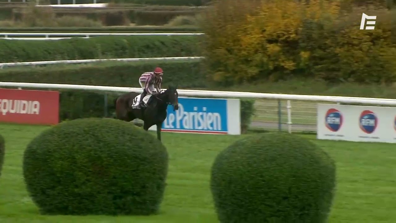 Prix Maurice Gillois - Grand Steeple-Chase des 4 ans (Gr.1) - Amy du Kiff