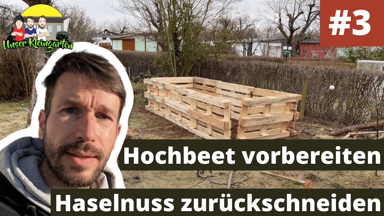 Unser Kleingarten #3: Hochbeete, Haselnussschnitt und Co in erster Märzwoche 2021