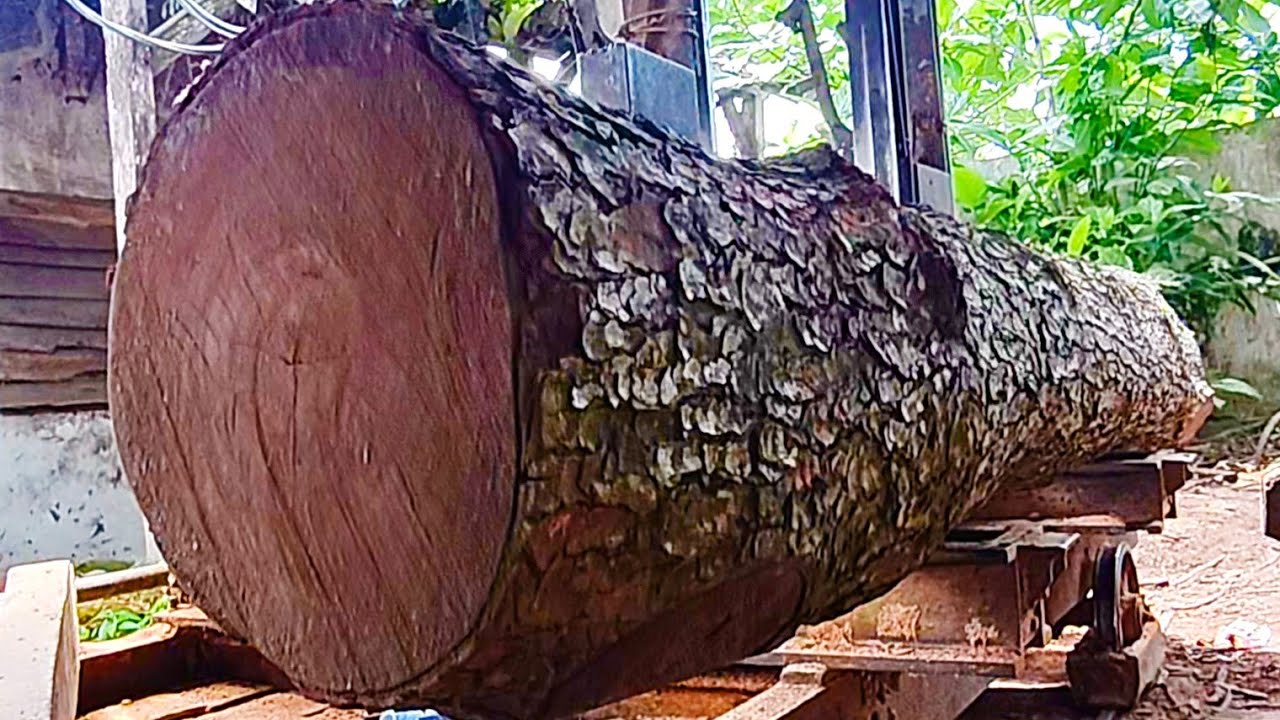 A beautiful surprise behind the black-skinned wood in the form of a sharp mahogany texture.