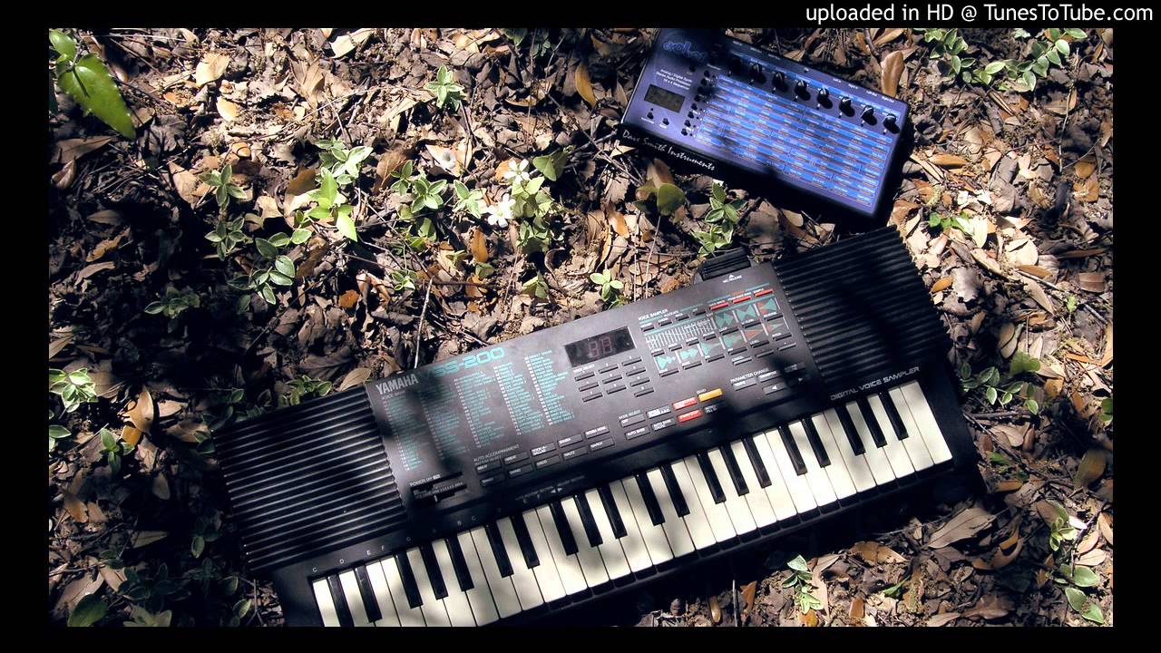 ambient with Yamaha VSS-200 and Evolver
