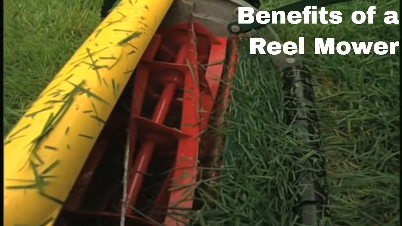 Lawn Mowing Alternatives - Reel Mower