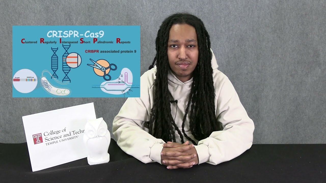Gene Therapy Explained: CRISPR vs Viral Vectors