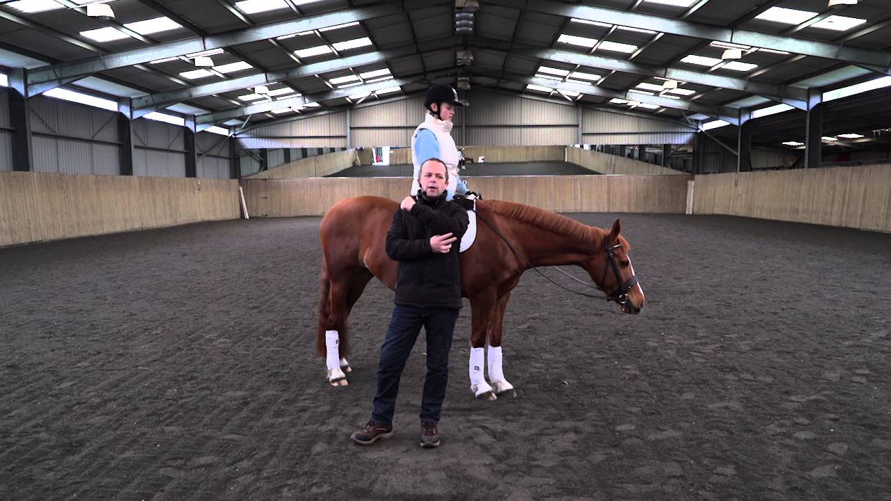 Lesson 3 : Rising Trot / Posting Trot