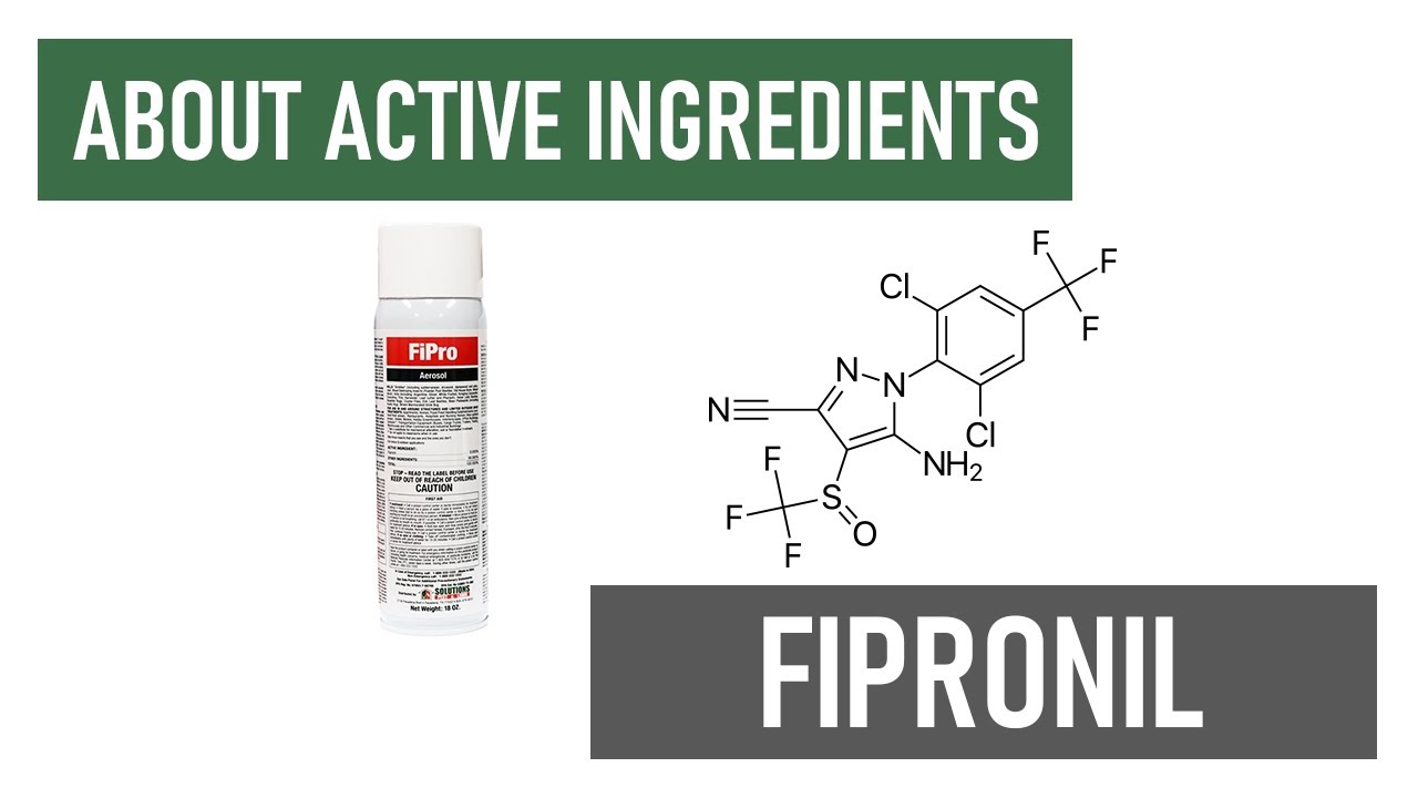 What is Fipronil? [Non-Repelling Insecticides]