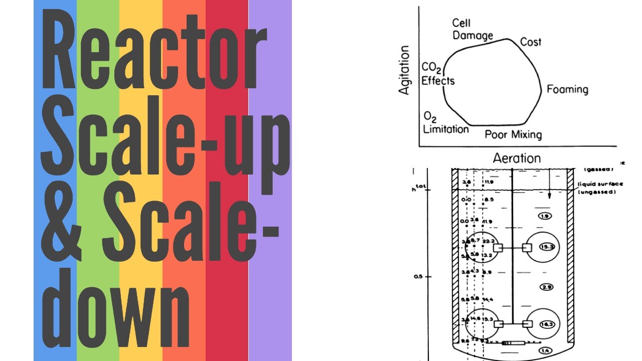 Reactor Scale-up & Scale-down| Explained| Bioprocess & Biochemical Engineering