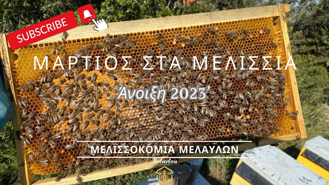 Ανοιξιάτικοι χειρισμοί. Μάρτιος 2023 [4K]