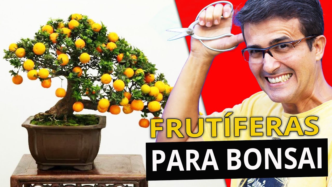 3 ÁRVORES FRUTÍFERAS ANIMAIS PARA FAZER BONSAI!!!
